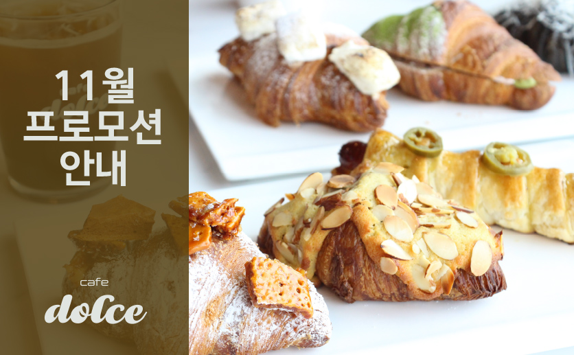 [카페돌체] 11월 프로모션 안내