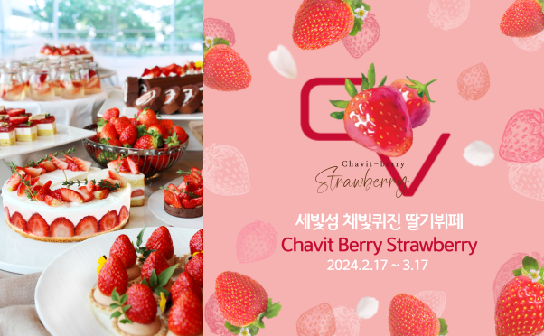 [채빛퀴진] 딸기뷔페 ✿Chavit-Berry Strawberry
